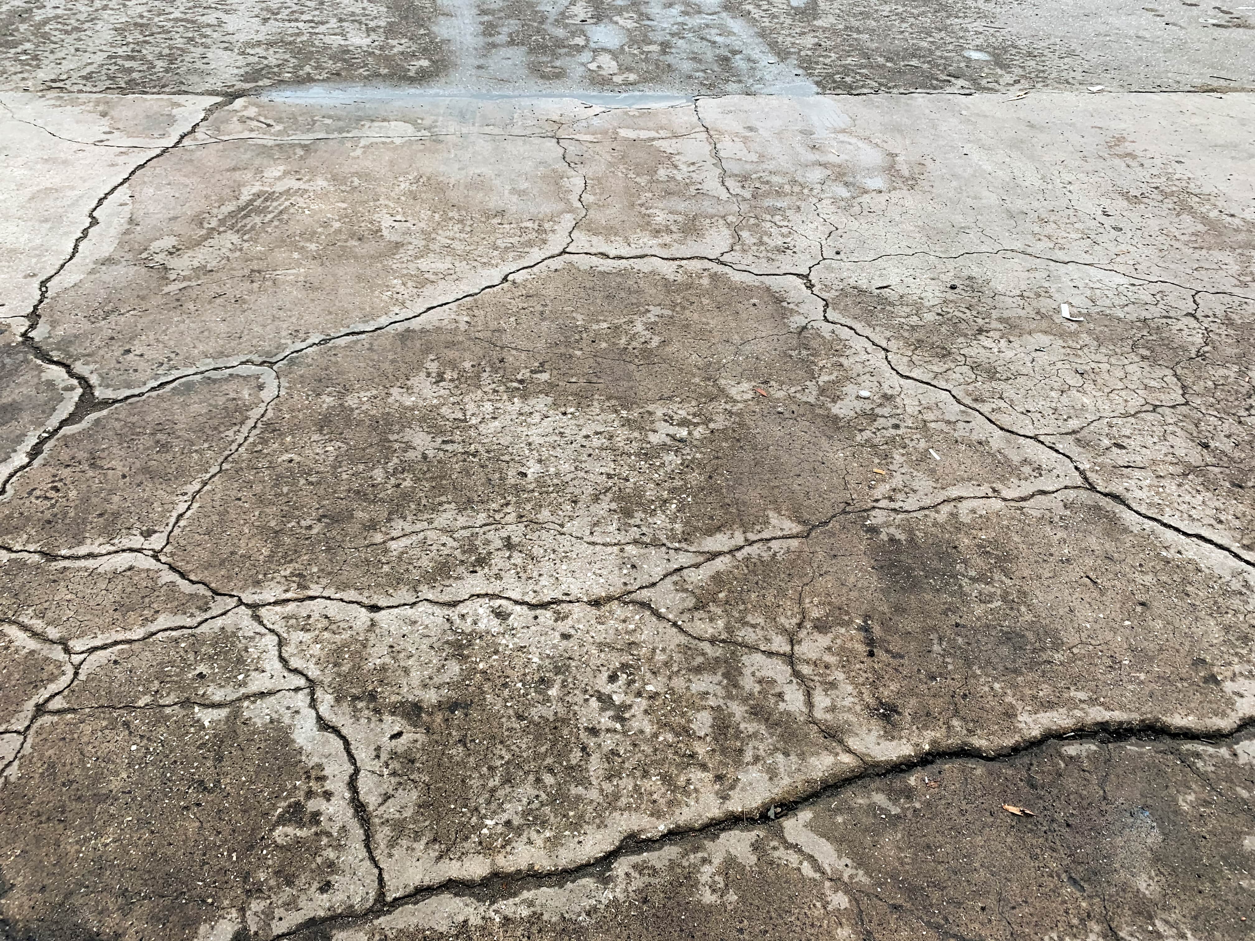 Concrete slab showing moisture damage and surface failure